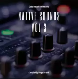 Bongs Da Vick - Native Sounds Vol. 3 Mix